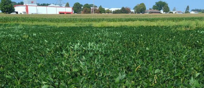 ▶ May 8 Wisconsin Ag Weather Update