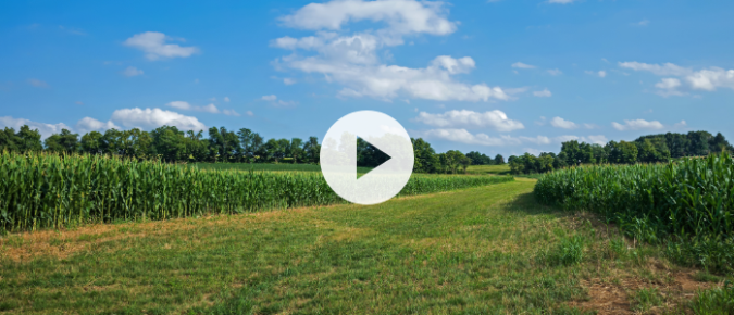 ▶ Watch: Using Buffer Strips for Ag & Water Quality