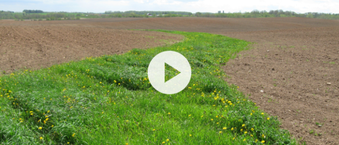 ▶ Watch: How Grassed Waterways Work