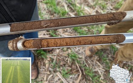 Nitrogen Optimization Pilot Program (NOPP) Project Spotlight – Novak, Hebbe, InDepth Agronomy