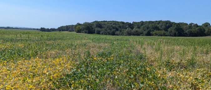 ▶ August 28 Ag Weather Outlook for Wisconsin
