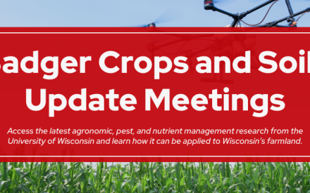 Register Now: Badger Crops and Soils Update Meetings