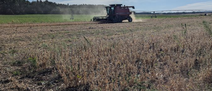 Scouting for Soil Erosion in Fall