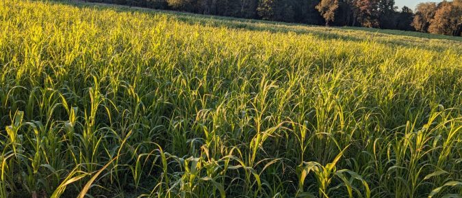 ▶ 2026 Early Fall Ag Weather Outlook for Wisconsin