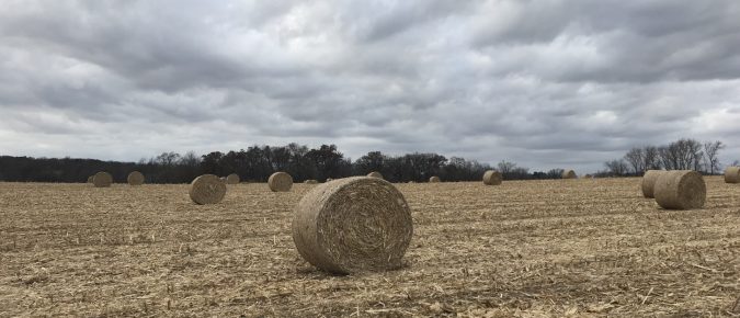 Crop residue: Should you take it or leave it?