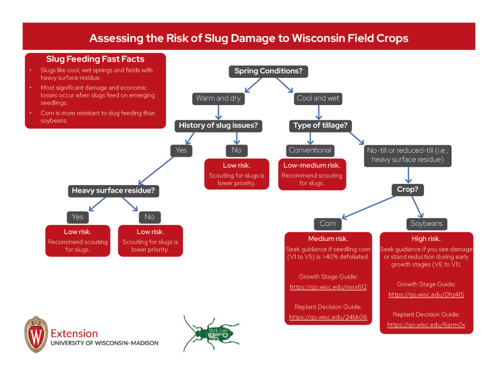 Decision tree for assessing slug damage risk in Wisconsin field crops based on weather, tillage, and crop type.