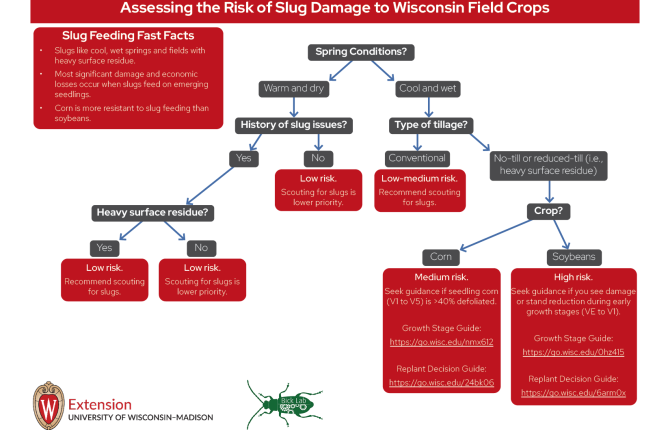 Managing Slugs in Wisconsin Field Crops – Crops and Soils