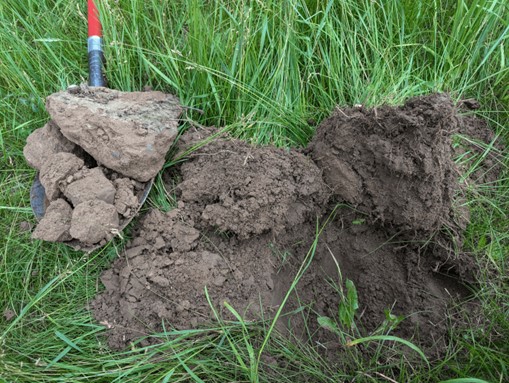 Two soil samples of different textures and darknesses displayed on grass