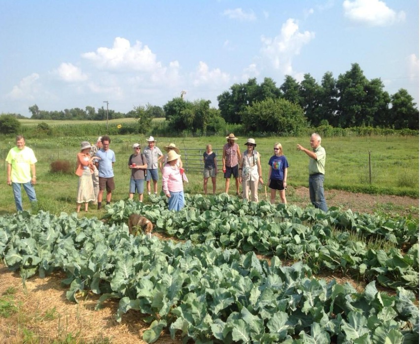 Group of people in sun hats gathered around cabbage crops in a small farm field.