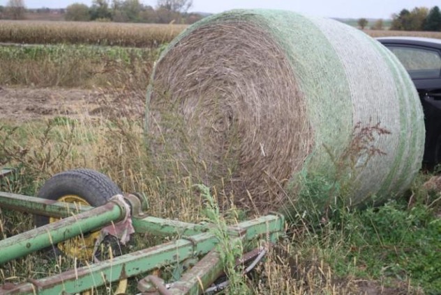 Large round switchgrass bale wrapped in green plastic netting on farm equipment