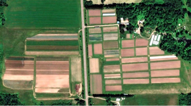 Aerial view of organized agricultural plots with various crop sections