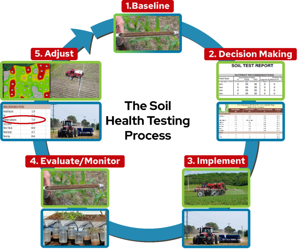 Circular diagram of soil health testing process — Baseline sampling, Decision making, Implementation, Evaluation, Adjustment — with agriculture images for each step.
