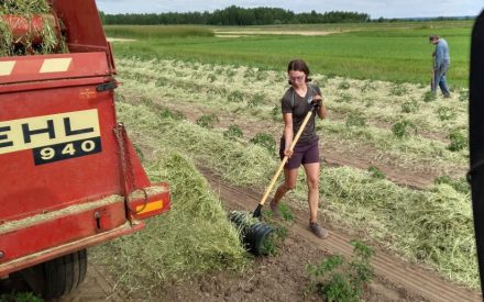 Cut-and-Carry Mulch Case Studies