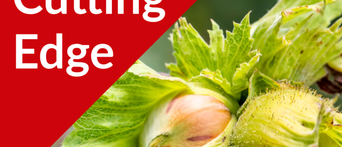 The Cutting Edge Podcast Episode #50: UMHDI Hazelnut Breeding Updates