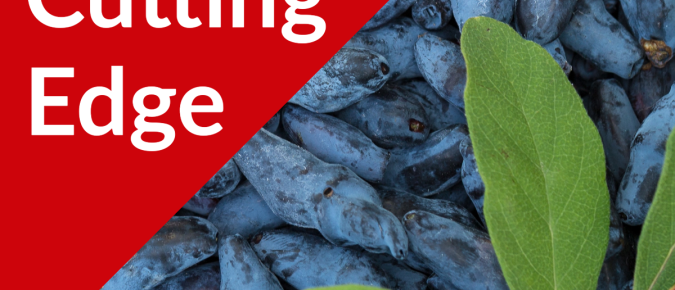 The Cutting Edge Podcast Episode #51: Honeyberry Production