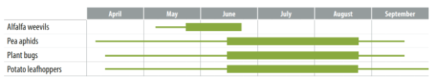 Chart showing seasonal timing of alfalfa pests: alfalfa weevils (June-July), pea aphids (April-September), plant bugs (May-September), and potato leafhoppers (June-September).