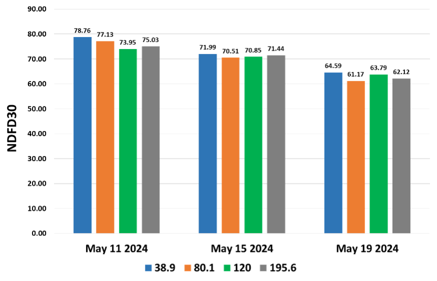 Bar chart displaying NDFD30 percentages for four cutting heights (38.9, 80.1, 120, 195.6) across three May 2024 dates, showing decreasing digestibility over time.