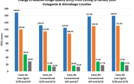 Monitoring First Cut Alfalfa: Maximizing the quality and quantity of the 2025 crop