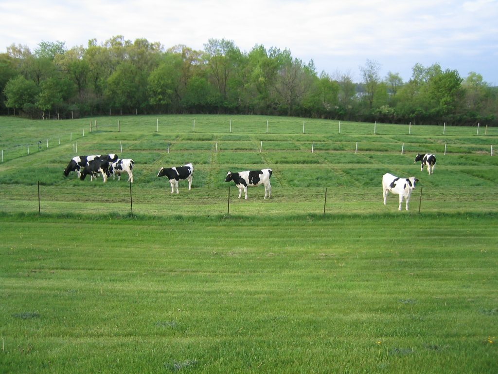U.S. Dairy Forage Research Center Field Day – July 17