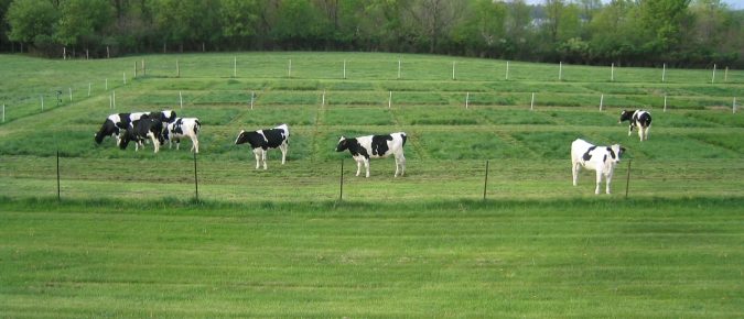 ▶ Watch: Focus on Managed Grazing
