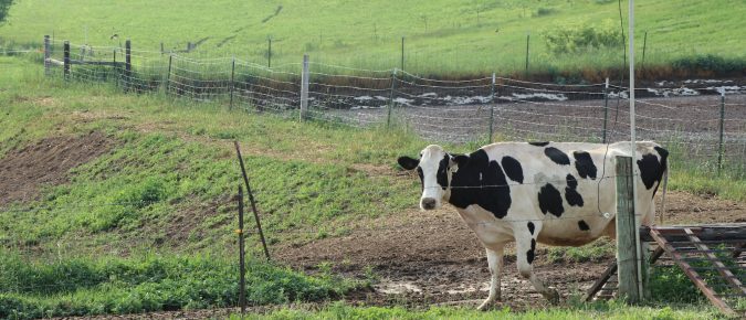 ▶ June 26 Ag Weather Outlook for Wisconsin