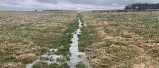 ▶ How Does Nitrate Leaching Respond to Nitrogen Inputs from Fertilizer and Manure?