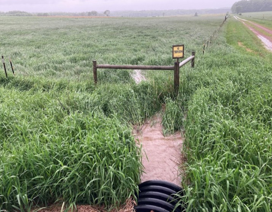 Muddy water flowing out of black culvert pipe into pasture