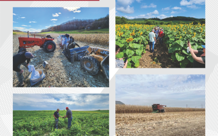 ▶ Nitrogen Optimization Pilot Program 2024 Annual Report Highlights