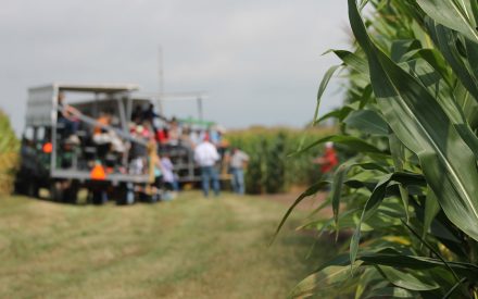 UW Organic Research Field Day – Aug. 26