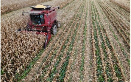 October 16th, 2025 Weather Outlook