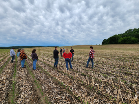 Group of people walking through harvested corn field with crop residue