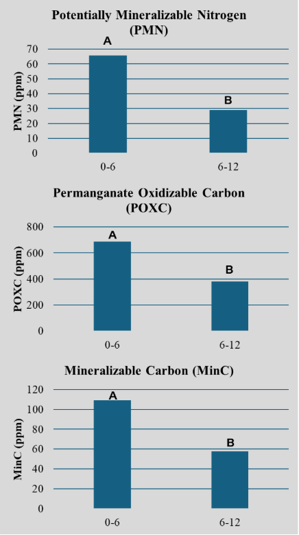 Three bar charts comparing PMN, POXC, and MinC at 0–6 inch and 6–12 inch soil depths.