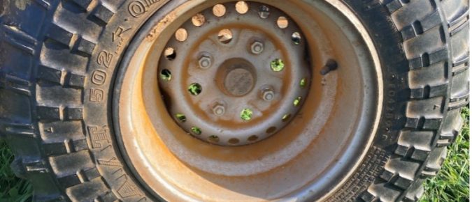 Managing Rust in Cool Season Pastures