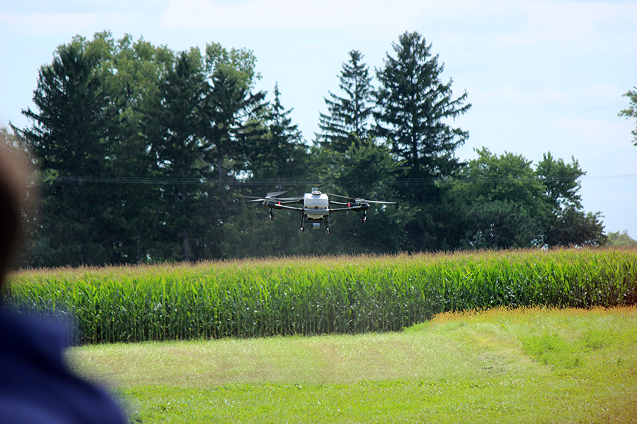 Drone hovering above tall green crops in a field, with trees and clear sky in the background.