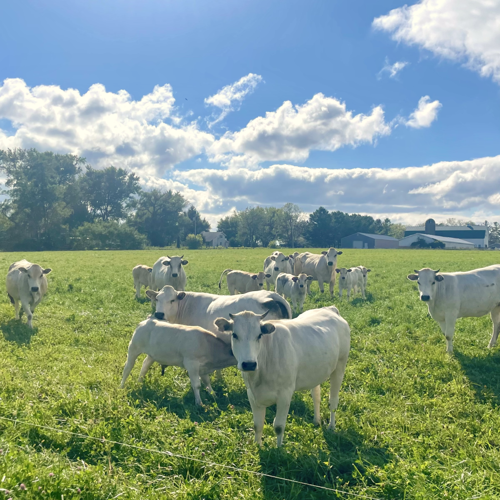 Research Brief: Economics of crop and livestock integration