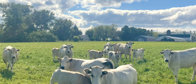 Research Brief: Economics of crop and livestock integration