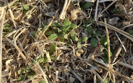 October 30th, 2025 Weather Outlook