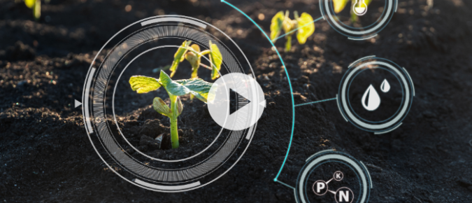 ▶ LLMs’ Application for Farm Management Insight
