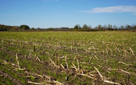 Plan Smarter with the Wisconsin Nutrient Management Workbook