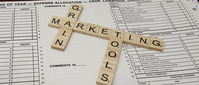 ▶ Fall 2025 Corn and Soybean Market Outlook