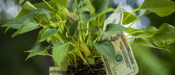 ▶ Fall 2025 Ag Policy Update