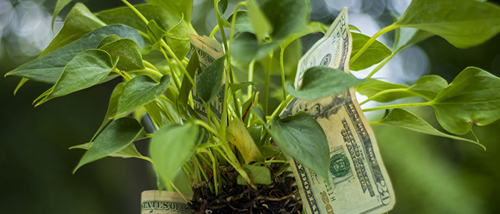 ▶ Fall 2025 Ag Policy Update