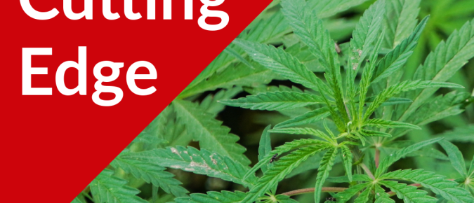 The Cutting Edge Podcast Episode #53: Hemp Research Priorities at UW-Madison with Dr. Shelby Ellison
