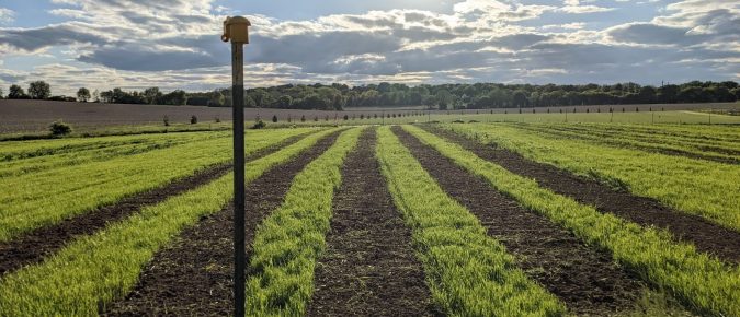 Living Aisles Case Study #2: Gorman Farm, Fitchburg, WI