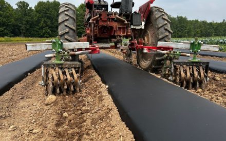 Tractor cultivating between rows