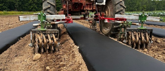 Living Aisles Case Study #3: Red Door Family Farm, Athens, WI