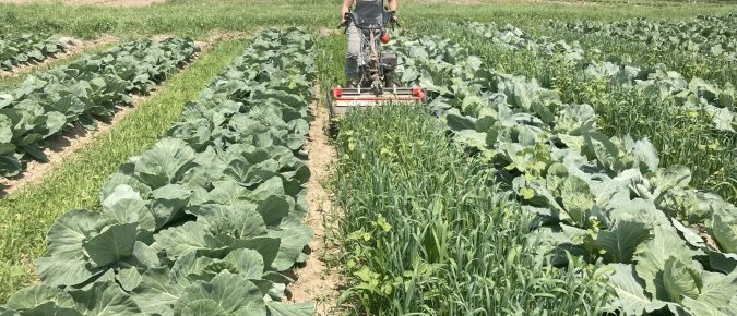 Living Aisles Case Study #3: Red Door Family Farm, Athens, WI