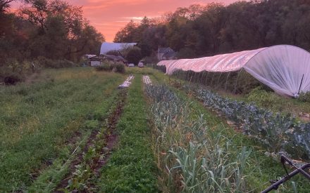 Mowing living covers