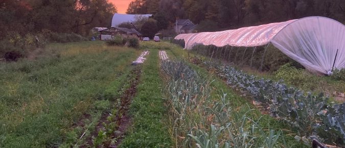 Living Aisles Case Study #4: Circadian Organics, Ferryville, WI