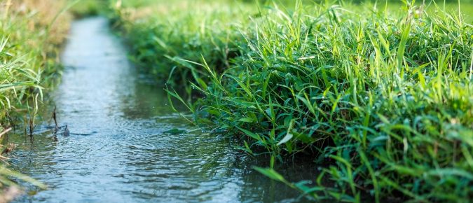 Smart Potassium Management